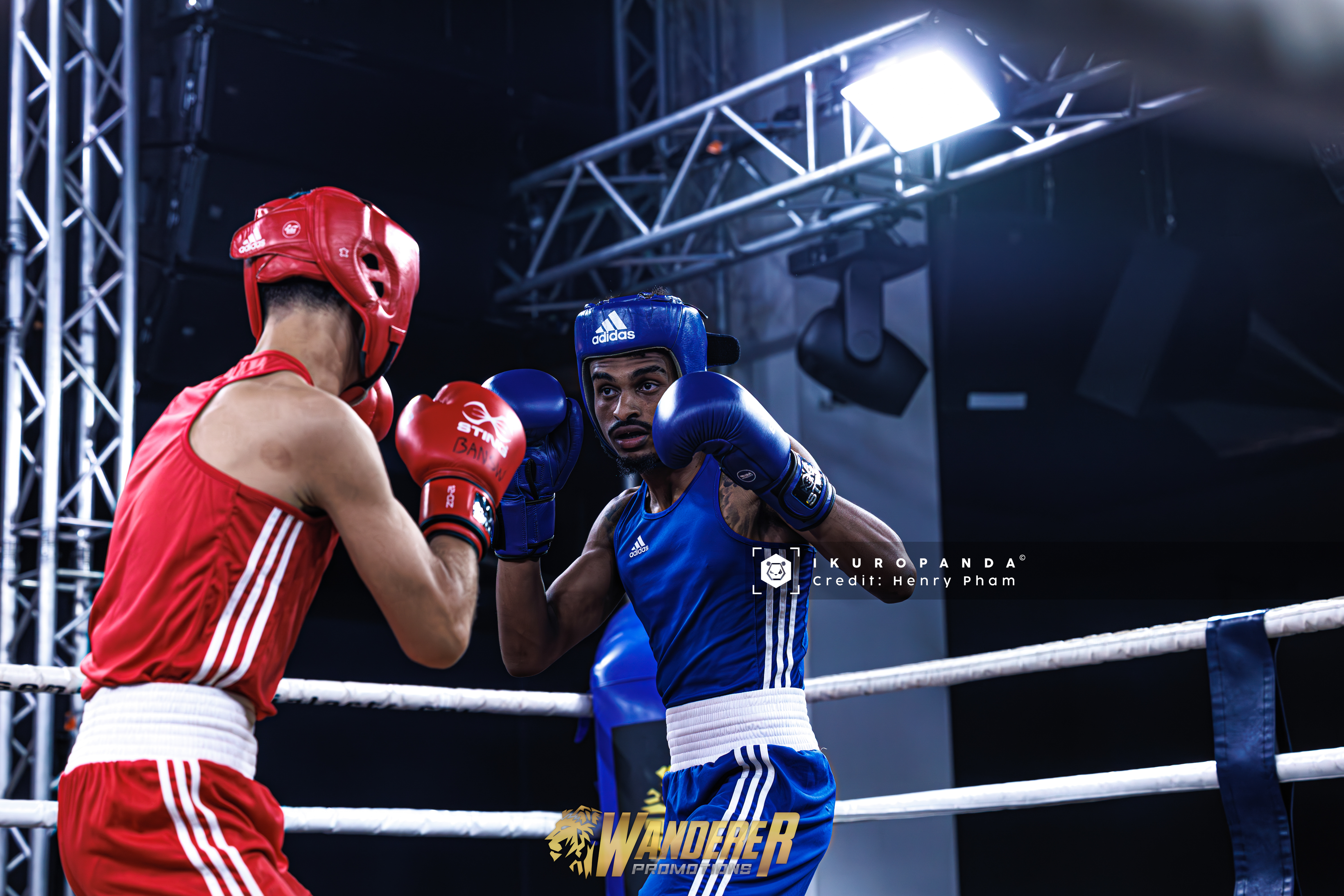 In the ring of a boxing match